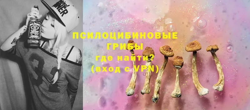 Галлюциногенные грибы Magic Shrooms  shop формула  Мосальск 